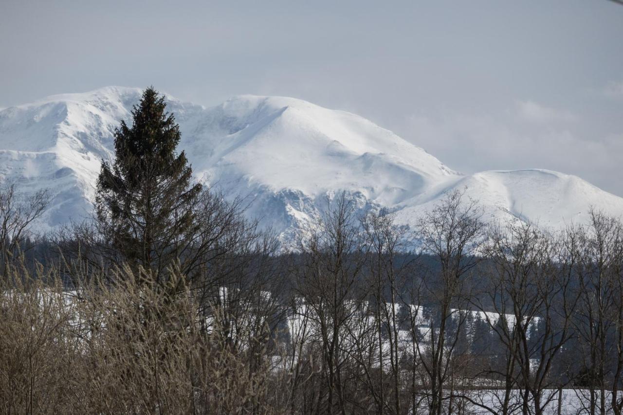 Nad Termami Villa Dzianisz Esterno foto